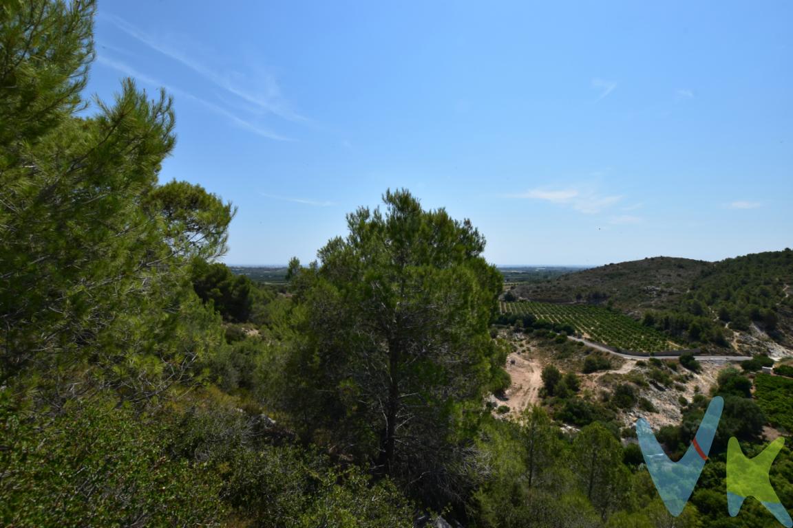Te proponemos una exclusiva parcela de 840 m² en la Urbanización El Pinar, un entorno donde calidad de vida y naturaleza se unen para ofrecerte el escenario perfecto donde hacer realidad la casa de tus sueños. Ocupación de la parcela del 30%,  de los cuales el 20% sería para la vivienda y el 10% para los auxiliares (piscina, deportivo...). Según normativa,  más de 160 metros cuadrados en dos plantas, dando rienda suelta a la imaginación y a las necesidades de la familia, siendo una de las parcelas con mejores vistas de la urbanización. Ubicada en una urbanización consolidada de casas unifamiliares, disfrutarás de un ambiente tranquilo y familiar, rodeado de zonas verdes, incluso con vistas al mar y con excelentes comunicaciones. El Pinar dispone de Club Social con pistas de tenis, restaurante y espacios de ocio para disfrutar durante todo el año en un ambiente único. Además, cuenta con parada de autobús escolar en la propia urbanización y se encuentra a tan solo 6 km de Picassent, con estación de metro que conecta con Valencia, 25 minutos y a 4 km de Tancat de lAlter, donde se encuentran prestigiosos colegios internacionales, ideal para compradores extranjeros. Un enclave privilegiado para construir un hogar a tu medida, disfrutando de privacidad, naturaleza y la comodidad de tener todos los servicios a pocos minutos. ¿Quieres más información? Llámanos y te daremos toda la información necesaria.¿Quieres enterarte en primicia de nuestros inmuebles en alquiler y venta? En VIVEKU.ES los publicamos con unos días de antelación.Contamos con 30 años de experiencia acreditada y nuestro objetivo es garantizarle un servicio de compra humano, ético, de calidad, fácil y seguro. Nuestro equipo lo integran agentes con la titulación AIR (Agente Inmobiliario Registrado) y Agentes Certificadores de la categoría Premium en certificación de inmuebles y debidamente registrados en el Registro de Agentes de Intermediación de la CV (RAICV 0743). Consulte en nuestras reseñas de Google lo que opinan los clientes que ya han trabajado con nosotros.El precio del inmueble no incluye los honorarios de la agencia que ascienden al 3% del precio final del inmueble más el 21% de IVA, ni los gastos de notaría y registro de la propiedad (que están sujetos a aranceles y varían dependiendo del precio de escrituración), ni los impuestos (que en la Comunidad Valenciana varían dependiendo del precio del inmueble y de las características personales del comprador). 