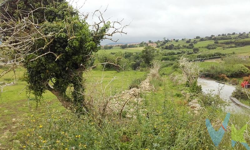 Estupenda parcela urbana en las inmediaciones de Santillana del Mar, localidad mundialmente conocida, tanto por su singular arquitectura medieval, como por albergar las famosísimas Cuevas de Altamira. Está situada en una pequeña loma, orientada al Sur, y con unas preciosas vistas. Zona residencial muy tranquila. Tiene unas dimensiones de unos 1.800m2, ya descontando los viales de acceso, y según la normativa vigente, tiene una edificabilidad del 30%, pudiéndose emplear en una vivienda unifamiliar, o en una construcción de varias viviendas. Existe la posibilidad de adquirir otra parcela colindante de iguales características. Anímate a visitarla. Estamos seguros que te encantará.