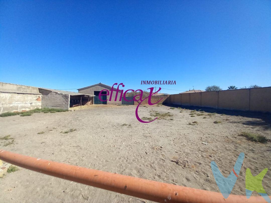 Se vende espectacular terreno de 1.173 m² que te ofrece un sinfín de posibilidades.
En él encontrarás una amplia nave de 195 m2, ideal para múltiples usos.Este terreno cuenta con acceso a dos calles, lo que facilita la entrada y salida, además de ofrecer un gran potencial para inversores que deseen construir viviendas.
Si eres particular y sueñas con edificar la casa de tus sueños en una sola planta, este es el lugar perfecto para ti. Imagina disfrutar de un amplio espacio exterior donde poder compartir momentos inolvidables con amigos y familia. ????✨
 La compra de este inmueble conlleva un servicio de formalización y gestión de la compraventa para el comprador, cuyo coste no esta incluido en el precio publicado.
Se le informara de todos los gastos asociados a la compraventa antes de la reserva para que usted compre con la maxima seguridad, tranquilidad y transparencia. 
No dejes pasar esta oportunidad de invertir en un futuro lleno de posibilidades. ¡Contáctanos para más información y ven a visitarlo!
¡Tu próximo gran proyecto te está esperando!
 