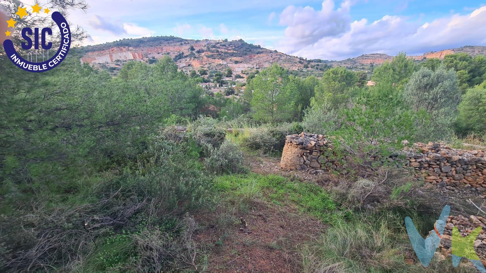 🌿 Tu refugio en la naturaleza, con posibilidad de construir tu hogar soñado – La Pedrera (Borriol). Hay lugares donde el tiempo se detiene. Donde el verde lo envuelve todo y el silencio solo lo rompe el viento entre los árboles. Esta finca rústica de 13.042 m², situada en la urbanización La Pedrera, Borriol, es uno de esos lugares donde la naturaleza y las posibilidades se dan la mano. En la parcela encontramos una casa de 90 m² construidos, para reformar, que conserva el encanto de las viviendas de campo. Cuenta con 2 dormitorios, comedor con chimenea, cocina, baño y un trastero muy grande. (La casa no consta en la escritura). El terreno es amplio, diverso y lleno de vida. Combina zonas abiertas con un pedazo de montaña y bosque, con árboles, tréboles y vegetación natural, creando un entorno único donde el cielo también forma parte de la propiedad. Dispone de piscina/balsa, establo para caballos, y espacio de sobra para disfrutar del aire libre, los animales o proyectos personales. La finca cuenta con luz eléctrica y agua de pozo con contador, además de servicio de recogida de basura y retirada de restos de poda, algo muy valorado en suelo rústico. También hay parada de autobús cercana, lo que aporta comodidad sin perder la sensación de aislamiento natural. � Normativa urbanística. Según normativa, se permite edificar vivienda aislada y unifamiliar siempre que la parcela tenga un mínimo de 10.000 m². La superficie edificable no podrá exceder del 2% de la finca rústica. (Consultar en el departamento de urbanismo del ayuntamiento de Borriol). . Este no es solo un terreno. Es un lienzo en blanco para crear tu hogar, un proyecto de vida en plena naturaleza, donde cada amanecer te recuerda por qué elegiste este lugar. 🌳 Naturaleza, espacio y libertad. El resto lo decides tú.