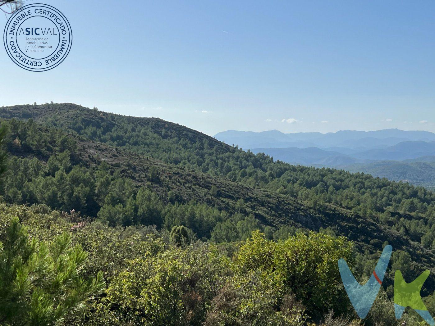 Gran finca rústica de secano, más de 350.000 metros en varias fincas colindantes, apta quizás para coto de caza, agricultura, etc. con acceso a través de camino asfaltado y hormigonado, excepto el último, unos 500 metros, que éstos últimos es de tierra. Llámanos y te ampliamos la información.