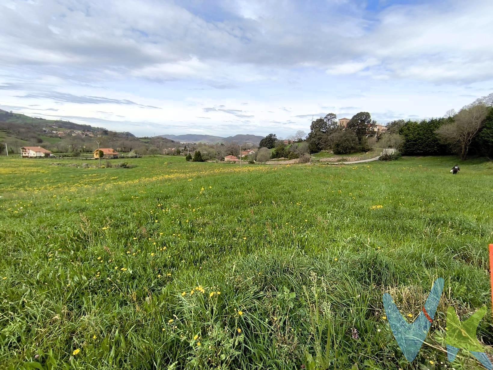 Presentamos un atractivo terreno rústico ubicado en Lloreda de Cayón, ideal para aquellos que buscan la tranquilidad y belleza del entorno natural. Este extenso terreno cuenta con una superficie total de 1740 m², ofreciendo amplias posibilidades para desarrollar proyectos agrícolas o recreativos. Disfrute también de las zonas infantiles cercanas perfectas para familias. Con vistas panorámicas hacia las montañas circundantes, en la que podrá poner una caseta de aperos . Los impuestos, gastos de notaría y registro, no están incluidos en el precio.