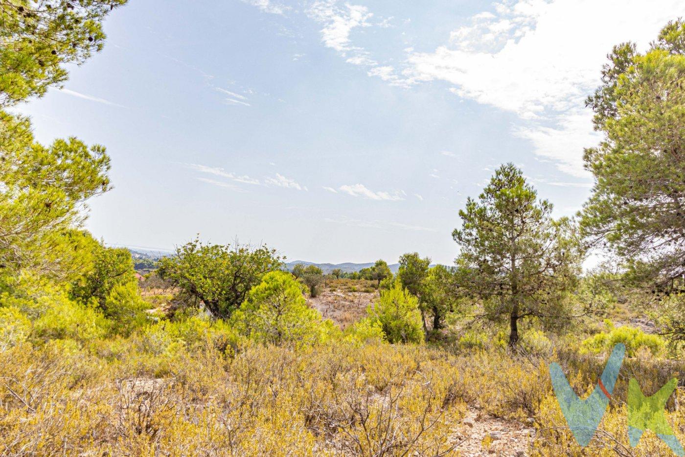 Te presentamos una oportunidad excepcional que puede convertirse en tu rincón de ensueño en Monserrat: un terreno de aproximadamente 27,000m2. . Este impresionante terreno, actualmente designado como agrícola pero con potencial para futuras adaptaciones, te brinda la posibilidad de construir tu propio chalet en medio de la naturaleza. Imagina tu casa ideal en este entorno rústico, rodeado de un paisaje de secano adornado con majestuosos algarrobos. Además, como un extra, se incluye una casa de campo que requiere reformas, ubicada en la Partida de la Fuente de Mañes. La parcela abarca una extensión de treinta y dos "anegadas," equivalente a dos hectáreas, sesenta y ocho áreas y cuarenta centiáreas. Para tu comodidad, también contarás con acceso a servicios de luz y agua, lo que facilitará la ejecución de tus futuros proyectos. Te extendemos una cordial invitación para que nos contactes y podamos coordinar una visita en persona. Esta será una oportunidad única para explorar de cerca todas las perspectivas que este terreno posee. Estamos entusiasmados por guiarte en esta exploración de una propiedad llena de potencial. Es importante tener presente que el precio de venta al público no incluye gastos asociados a la adquisición, tales como honorarios notariales, registrales, de gestión, entre otros. Asimismo, es relevante destacar que cualquier mobiliario, enseres, vehículos u otros bienes muebles que aparezcan en las fotografías no están contemplados en el precio de transmisión, a menos que se especifique de manera explícita en el anuncio. No dejes escapar esta asombrosa oportunidad de asegurar un terreno lleno de posibilidades. ¡No dudes en ponerte en contacto con nosotros ahora mismo y comienza a hacer tus sueños realidad!