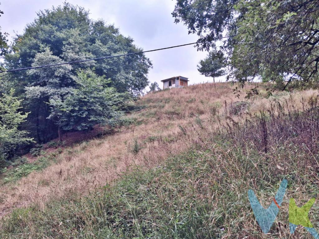 Se vende finca rústica situada en el término municipal de Puente Viesgo, en un entorno natural y tranquilo, ideal para quienes buscan disfrutar de la naturaleza y la tranquilidad del entorno rural.La finca cuenta con buen acceso, lo que facilita su llegada y permite disfrutar cómodamente de la propiedad.Una excelente oportunidad para quienes buscan un terreno en un entorno natural, alejado del ruido y rodeado de tranquilidad.Para más información, características de la finca o concertar una visita, no dude en ponerse en contacto con nosotros.Gastos e Impuestos no incluidos en el precio. Compra sujeta a ITP. El comprador se hará cargo de los costes de la escritura e inscripción en el Registro de la Propiedad.Más información sobre transparencia, impuestos, gastos y condiciones de compraventa en nuestra web www.activanorte.com