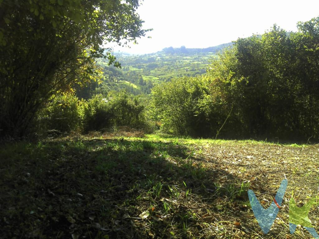 Estupenda finca situada en Caldones, a 12 minutos de Gijón; tiene una superficie de 2.360 metros cuadrados aprox, semi-llana. Es una oportunidad para meter animales, hacer huerto o simplemente poder estar en contacto con la naturaleza. Ideal para plantación de aguacates. Esta finca no tiene un camino registado, por lo que el comprador tiene que realizar los tramites oportunos para ello.  El precio no incluye el impuesto de Transmisiones Patrimoniales ni los gastos de Notaría y Registro.