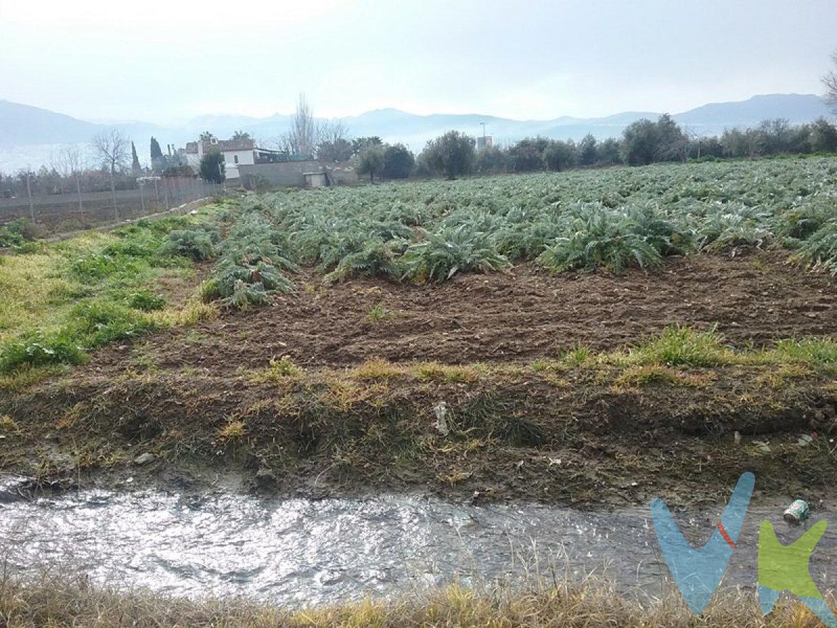 Haza de cultivo en el área de Granada. Ubicada en el pago del Zaidín, próxima al Centro Comercial Serrallo. Tiene 1530 m2 de terreno de regadío con agua de acequia. Fácil acceso con vehículos para la recogida de los productos. Linda con más fincas agrícolas, en pleno corazón de la vega y a un paso de la capital.  Ref. N143.  El PVP indicado no incluye impuestos ni gastos de Escritura.  Honorarios agencia no incluidos (2.500€ + IVA).  Las superficies expresadas en esta página tienen carácter descriptivo y son aproximadas.  Los precios pueden ser susceptibles de modificación sin previo aviso.