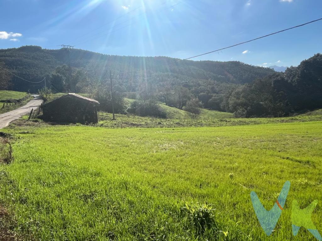 En Villanueva , en un entorno único, rodeado de zonas verdes y arbolado, encontramos esta preciosa finca de 13.225 m2  dentro de la cual se encuentra una cabaña de 36 m2 que podrá rehabilitar a su gusto. La finca dispone de agua y luz a pie de parcela. Se trata de un lugar privilegiado a tan sólo 25 minutos de las playas de Somo y Loredo. Solicite más información, nuestros agentes le informarán de todo lo que necesite.