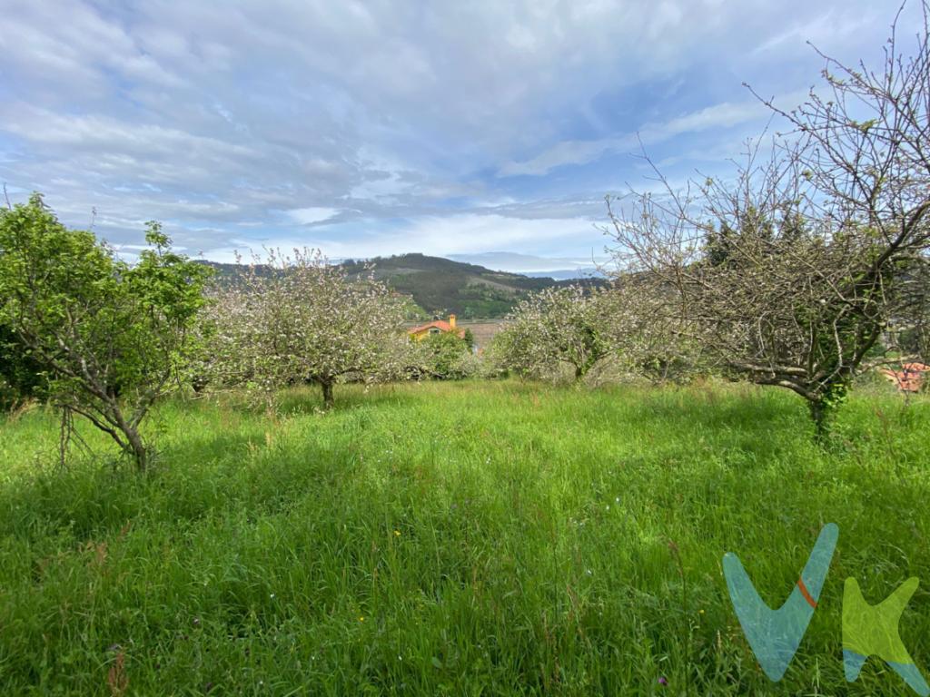 ¡Oportunidad única en Villaviciosa! Se vende terreno edificable de 517 metros cuadrados, situado a tan solo 200 metros de la ría de Villaviciosa. Este solar ofrece unas vistas impresionantes a la ría y un entorno inmejorable, ideal para construir la casa de tus sueños. La ubicación es céntrica en Asturias, con acceso rápido a Gijón (15 minutos), Oviedo (20 minutos) y la Playa de Rodiles (15 minutos). Además, se encuentra a solo 3 minutos del centro de Villaviciosa, donde dispondrás de todos los servicios necesarios.    El terreno cuenta con una superficie edificable de 250 metros cuadrados y permite la construcción de hasta 2 plantas. Con acceso por carretera y todos los servicios urbanos como agua y alcantarillado, este solar es perfecto para una residencia unifamiliar o chalet. Las condiciones económicas son negociables, lo que convierte esta oferta en una oportunidad irrepetible.      No dejes pasar esta ocasión de vivir en un entorno soleado y privilegiado. ¡Contacta con nosotros para más información y ven a conocer tu futuro hogar!     El precio no incluye el impuesto de Transmisiones Patrimoniales ni los gastos de Notaría y Registro.